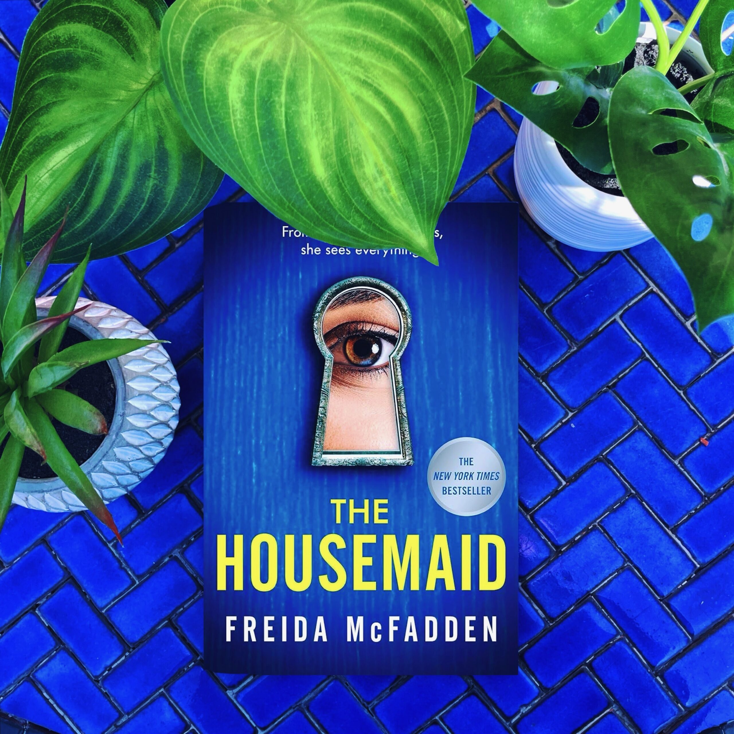 The housemaid freida mcfadden