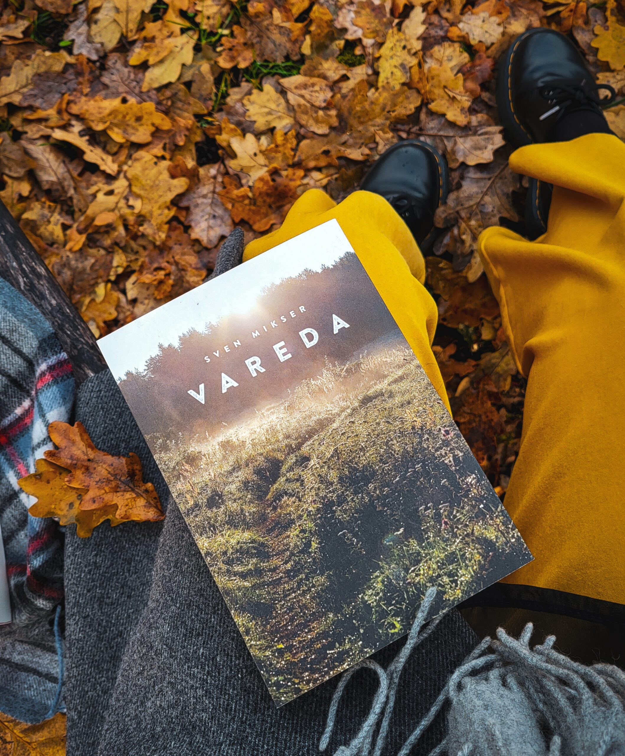 Vareda sven mikser